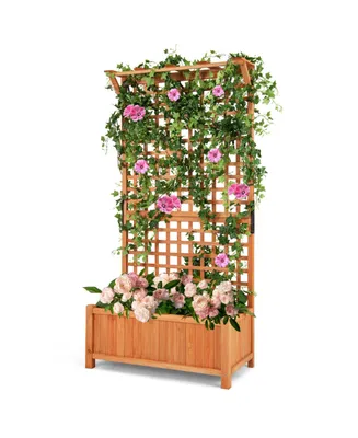 Raised Garden Bed with Trellis and Hanging Roof