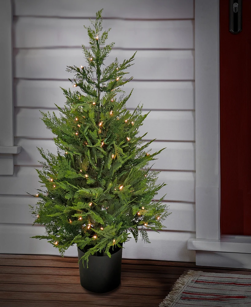National Tree Company 3 ft. Pre-Lit Cypress Tree in Nursery Pot