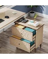 Tribesigns 2 Drawer Lateral File Cabinet, Office Filing Cabinet for A4 /Letter Size/Legal Size Files, Wood Storage Cabinet Printer Stand for Home Offi