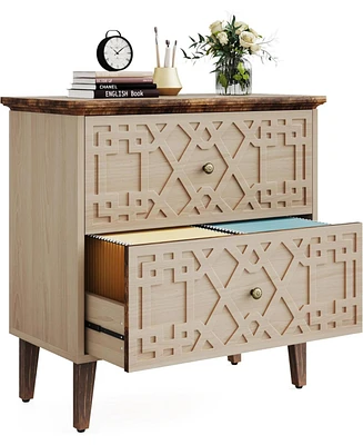 Tribesigns 2 Drawer Lateral File Cabinet, Office Filing Cabinet for A4 /Letter Size/Legal Size Files, Wood Storage Cabinet Printer Stand for Home Offi