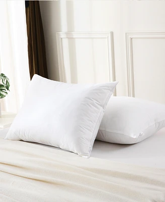 Royal Velvet White Goose Feather and Down Blend 2-Pack Pillow, King