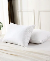 Royal Velvet White Goose Feather and Down Blend 2-Pack Pillow, King