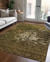 Addison Chantille Machine Washable ACN652 3'x5' Area Rug
