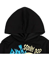 Scooby Doo Toddler Boys Warner Bros. Fleece Pullover Hoodie