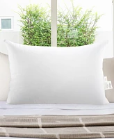 Cheer Collection Soft and Plush Bed Pillow Insert
