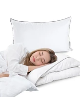 Cheer Collection Adjustable Layer Soft 2-Pack Pillows, King