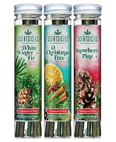 National Tree Company Scentsicles Scented Ornaments, 3 Pack Set