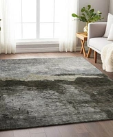 Addison Chantille Machine Washable Acn1069 Area Rug Collection