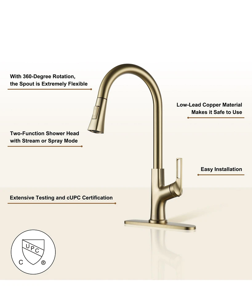 Casainc Single-Handle Pull-Down Kitchen Faucet Single Hole with Deck Plate
