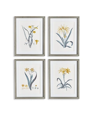 Daffodil Prints Set of 4