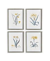 Daffodil Prints Set of 4