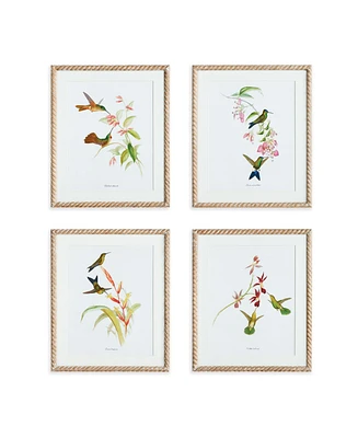 Playful Hummingbird Prints Set of 4