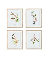 Playful Hummingbird Prints Set of 4