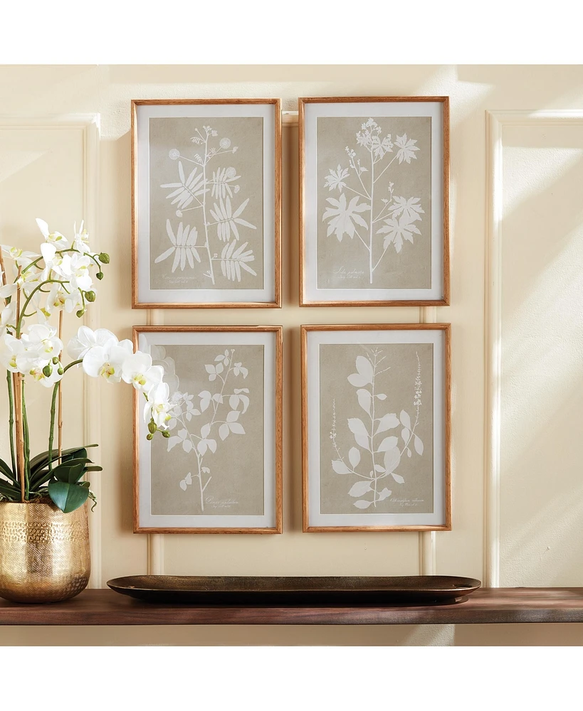 Foliage Study Set of 4