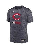 Nike Men's Black Cincinnati Reds Authentic Collection Velocity Performance Practice T-Shirt