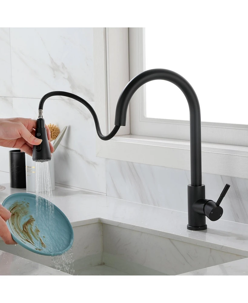 Kitchen Faucet with Pull Out Spraye