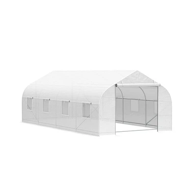 Spacious Greenhouse for Ideal Plant Growth and Year-Round Gardening