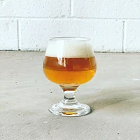 Brooklyn Brew Shop Everyday Ipa Beer Making Kit