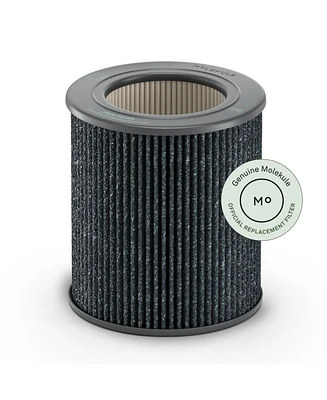 Molekule Peco-hepa Tri-Powered Filter for Air Mini and Air Mini