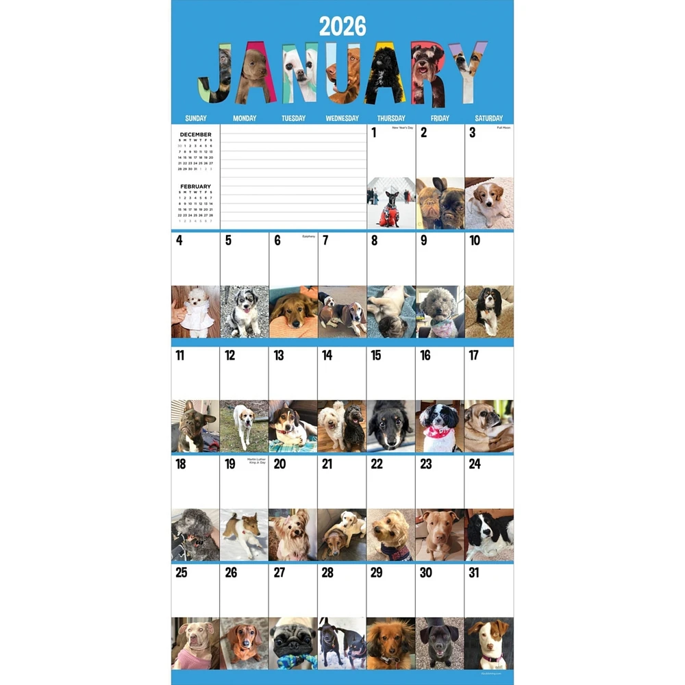 2026 Dog-a-Day Wall Calendar