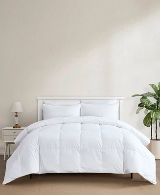 Avocado 500-Thread Count Down Comforter, Queen