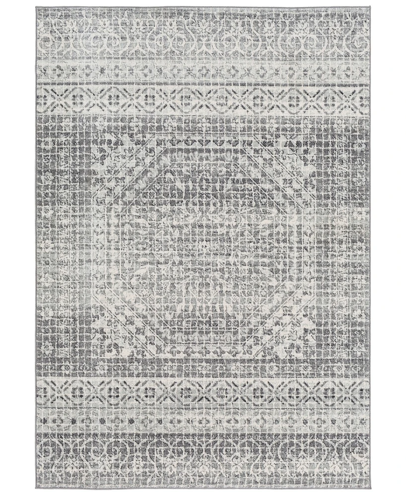 Livabliss Harput Hap-1080 Light Gray 5'3" x 7'3" Area Rug