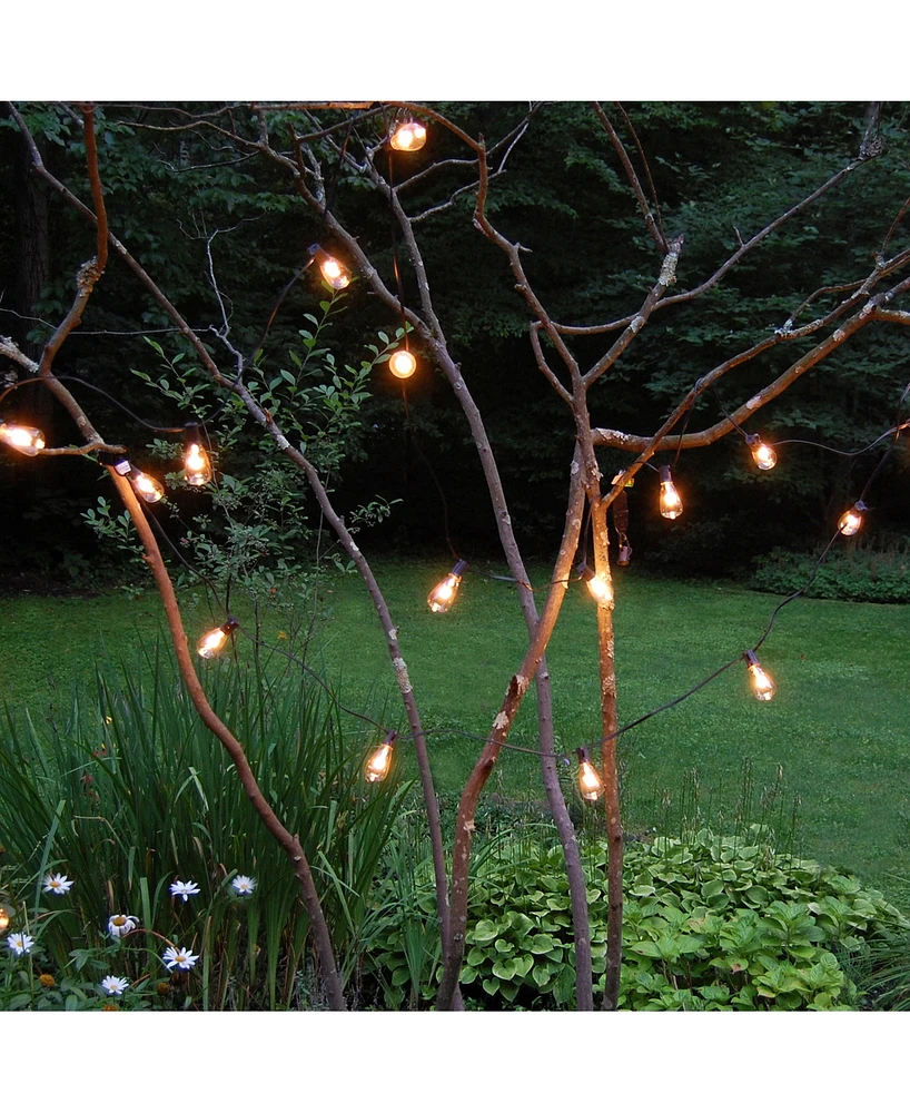Lumabase 10 Electric Edison String Lights