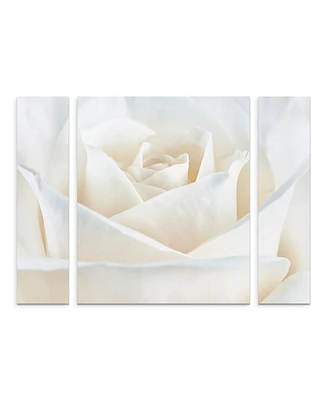Cora Niele 'Pure White Rose' Multi Panel Art Set Small - 24" x 32" x 2"