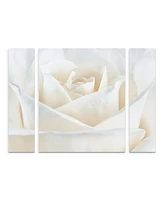 Cora Niele 'Pure White Rose' Multi Panel Art Set Small - 24" x 32" x 2"