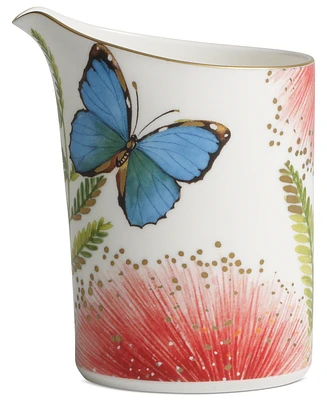 Villeroy & Boch Amazonia Creamer