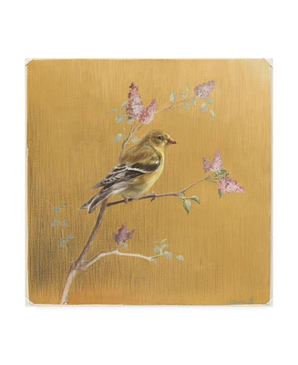 Danhui Nai Female Goldfinch on Gold Canvas Art - 15.5" x 21"