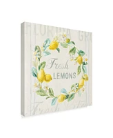 Danhui Nai Floursack Lemon V Canvas Art - 15" x 20"