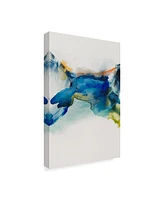 Sisa Jasper Abstract Terrain Ii Canvas Art - 37" x 49"