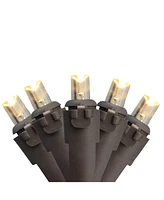 Northlight Set of 50 Warm White Led Wide Angle Christmas Lights - Brown Wire