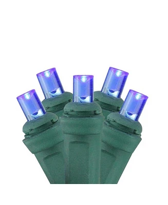 Northlight 4' x 6' Blue Led Wide Angle Christmas Net Lights - Green Wire