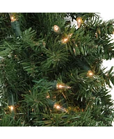 Northlight Pre-Lit Northern Pine Artificial Christmas Wreath - 36-Inch Clear Lights