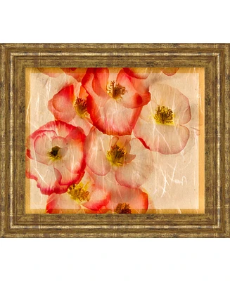 Classy Art Papaver Dreams Iii by Harold Davis Framed Print Wall Art, 22" x 26"