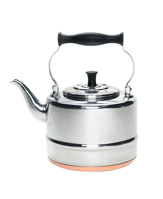 BonJour Stainless Steel and Copper-Base 2-Qt. Gooseneck Tea Kettle