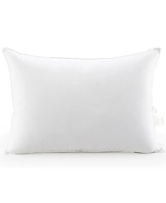 Cheer Collection Luxurious Gel-Fiber Filled 2-Pack Pillows, King