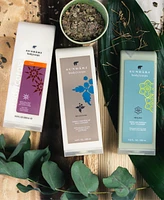 Sundari Omega 3 And Rose Hip Body Cleanser