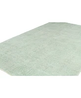 Bashian Hint V106 3'6" x 5'6" Area Rug