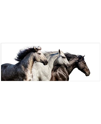 Empire Art Direct Trilogy 1 Frameless Free Floating Tempered Glass Panel Graphic Wall Art, 24" x 63" x 0.2"