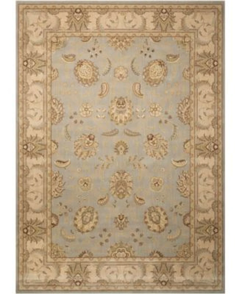 Nourison Home Persian Empire Pe22 Aqua Rug