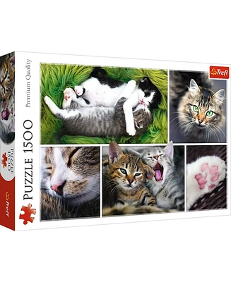 Jigsaw Puzzle Just Cat Things Collage, 1500 Piece