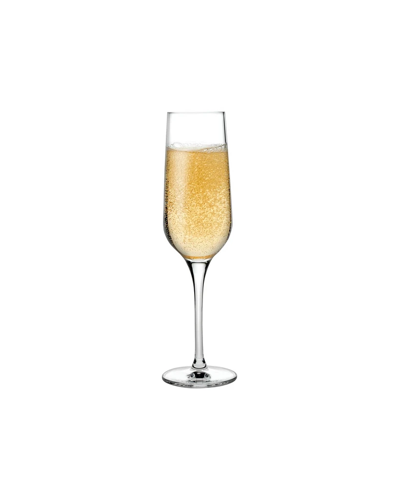 Refine Champagne Glass, Set of 2