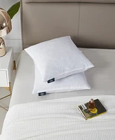 Serta Feather Filled 2-Pack Pillow Inserts, 20" x 20"