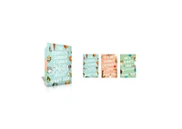 The Complete Summer I Turned Pretty Trilogy: The Summer I Turned Pretty; It's Not Summer Without You, We'll Always Have Summer by Jenny Han