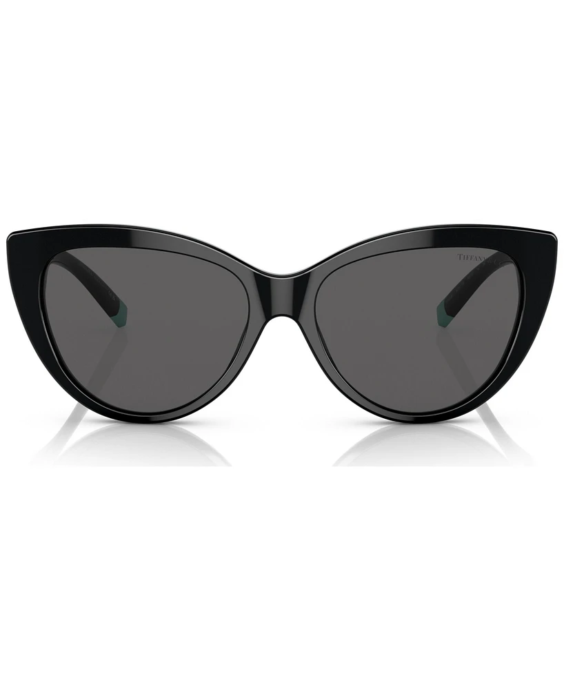 Tiffany & Co. Women's Sunglasses, TF4196