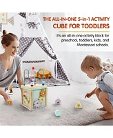 Leo & Friends Alice Activity Cube