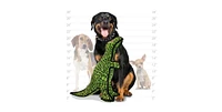 Tuffy Dinosaur T-Rex, Dog Toy